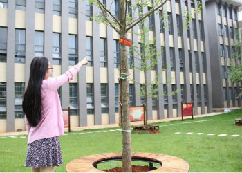 云南城市建设职业学院2019年五年制大专春季招生计划