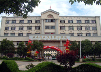 云南科技信息职业学院2019年五年制大专招生计划