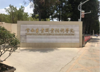 云南农业职业技术学院2019年五年制大专招生计划