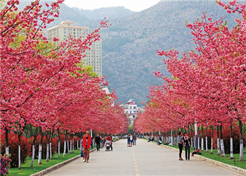 云南医药健康学院2019年五年制大专报名咨询