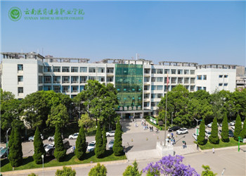 云南昆明医药健康学院2020年五年制大专新生报名须知