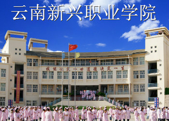 云南新兴职业学院2024年五年制大专招生计划