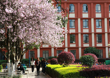 云南旅游职业学院2025年五年制大专收费标准