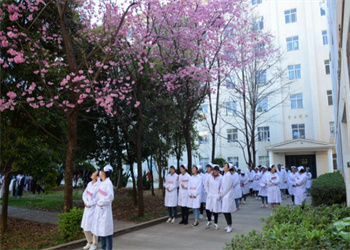 云南中医药中等专业学校2025年五年制大专录取分数线 云南中医药中等专业学校2025年五年制大专录取分数线