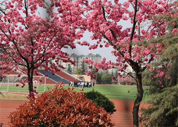 云南能源职业技术学院2025年五年制大专招生专业 云南能源职业技术学院2025年五年制大专招生专业