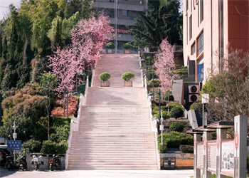 云南财经职业学院2025年五年制大专招生专业 云南财经职业学院2025年五年制大专招生专业