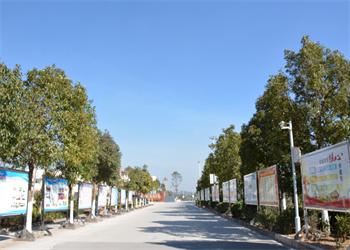 曲靖靖宁职业技术学校2025年五年制大专招生专业