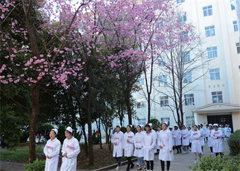 云南中医药中等专业学校2025年五年制大专招生专业